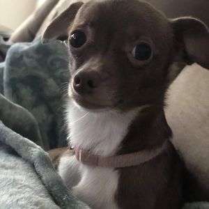 Meet your Posher, Ben